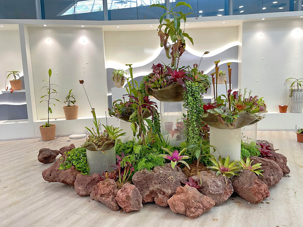 达尔文植物展.jpg