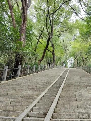 图片5.jpg