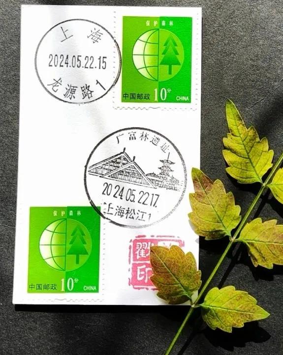 图片12.jpg