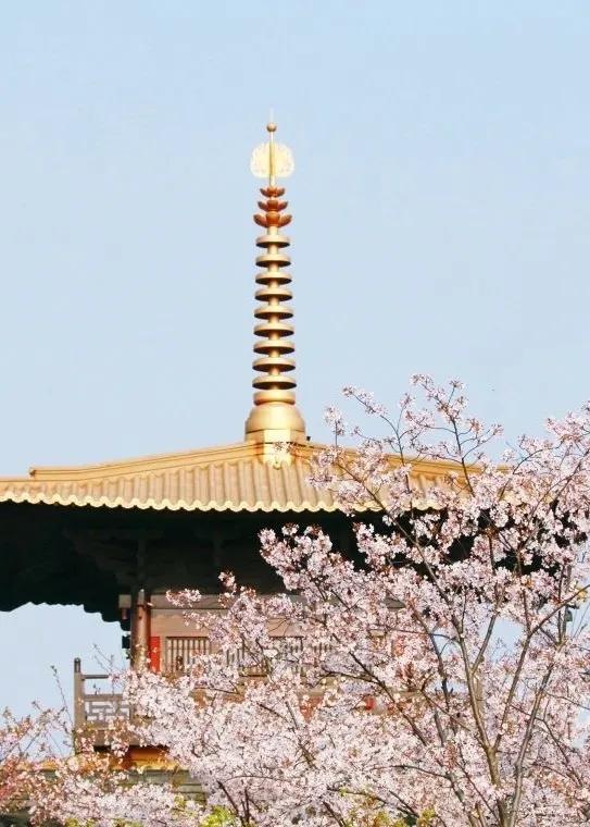 图片31.jpg