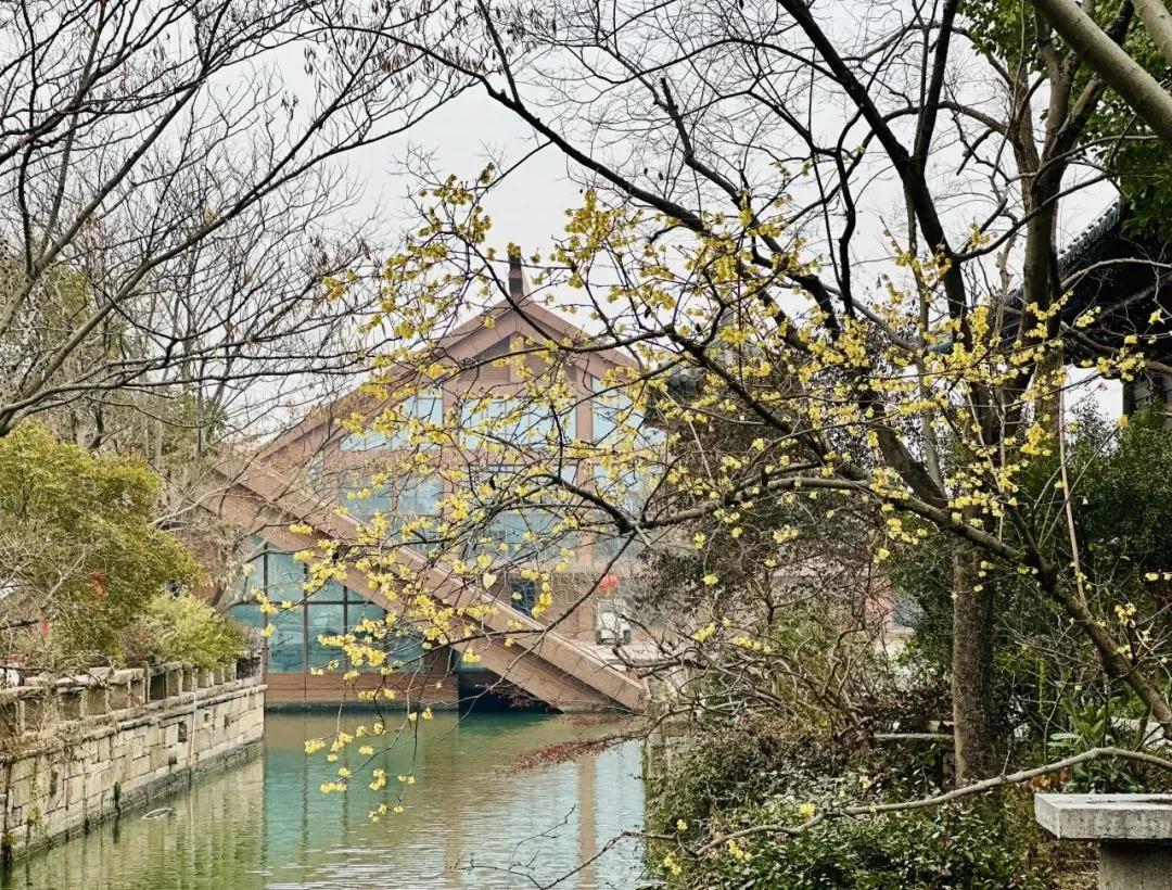 图片35.jpg